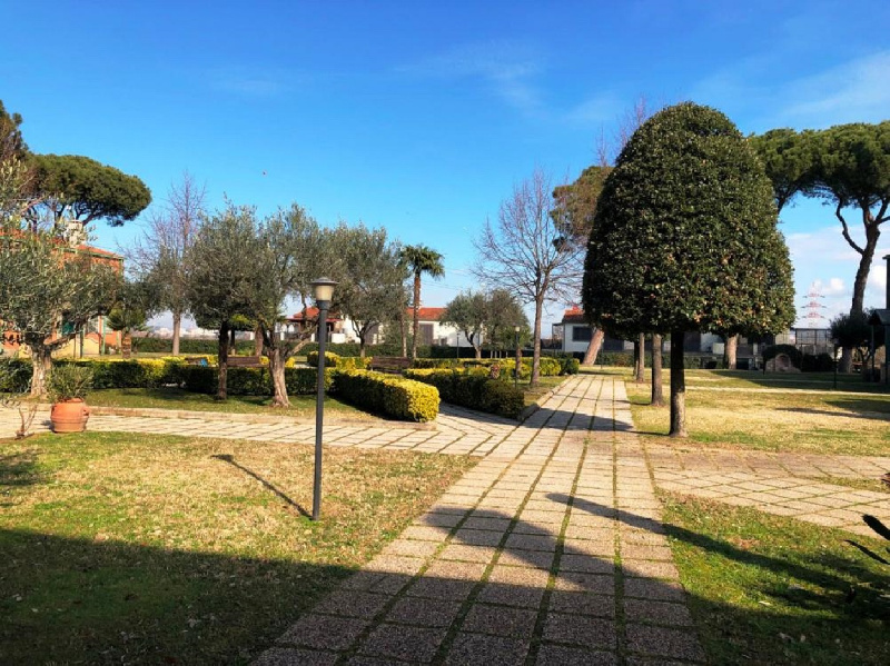 Appartamento ROMA vendita  COLLATINO (V MUN.) Via Andrea Noale, GFS CASE DI GABRIELE GRIECO