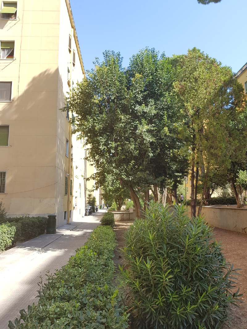 Appartamento ROMA vendita  MONTE SACRO  Via Tonale, GFS CASE DI GABRIELE GRIECO