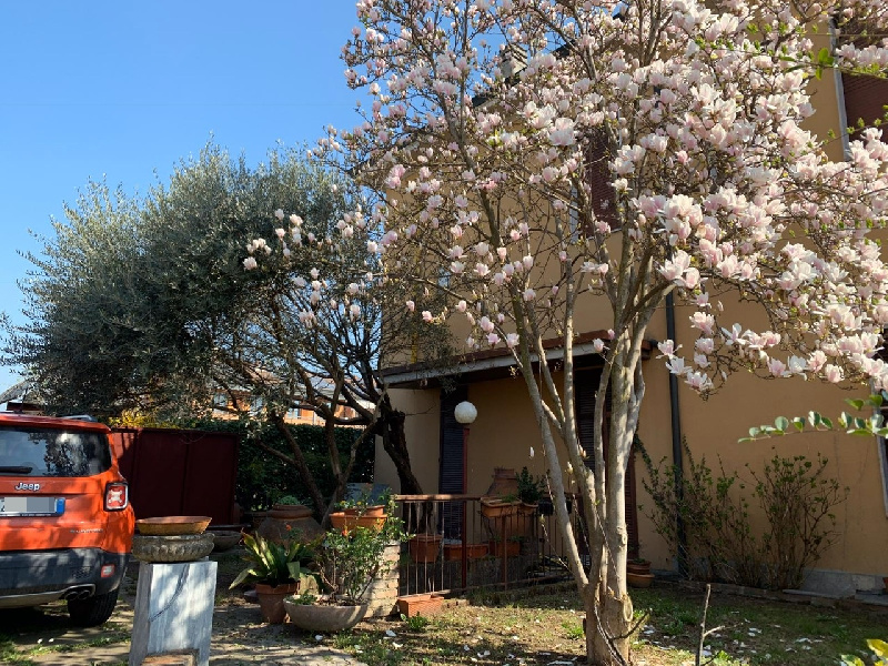 Villa Unifamiliare - Indipendente LODI vendita   Viale PIACENZA Studio Fanfulla s.n.c.