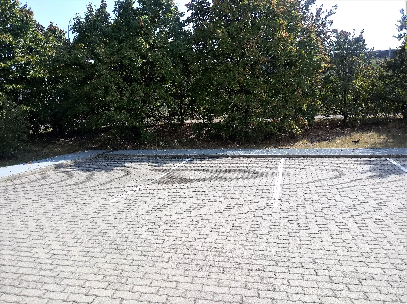 Box auto - Posto auto BOLOGNA affitto  SANTA VIOLA  GIOVETTI VANESSA