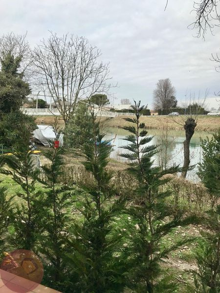 Appartamento PADOVA vendita  BASSANELLO  Sfera agenzia immobiliare