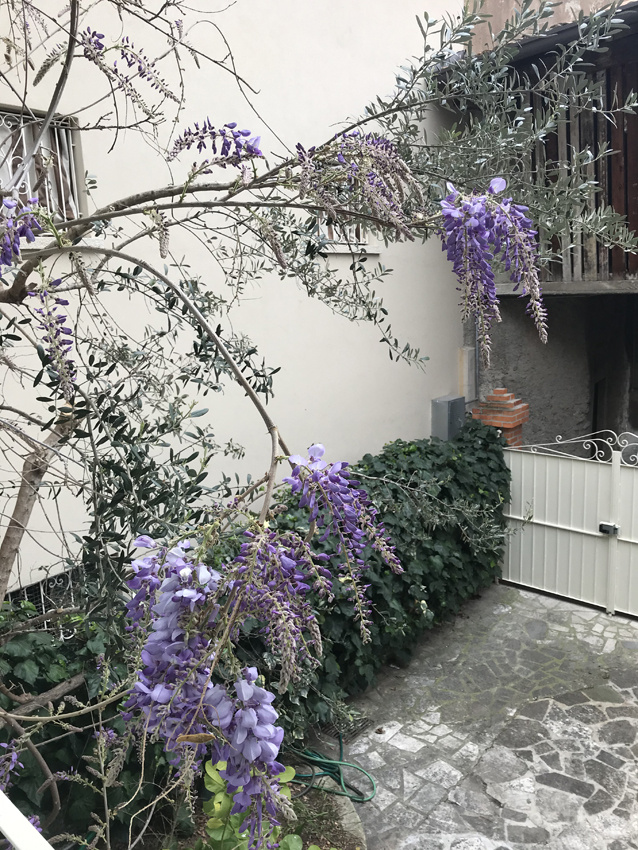 Appartamento SAN FELICE DEL BENACO affitto  Portese Via Costanzo Ciano,36 IMMOBILIARE ZANAGLIO di Zanaglio Enzo