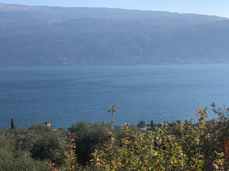 immagine principale