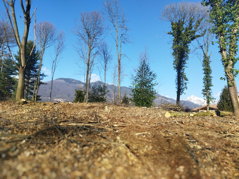 Fotografia Terreno Residenziale piccola 1