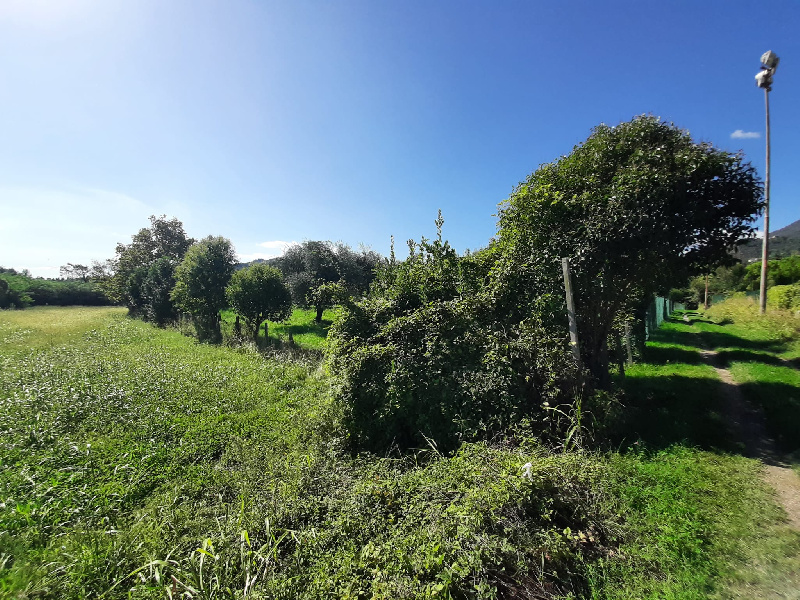 Fotografia Terreno Agricolo piccola 2