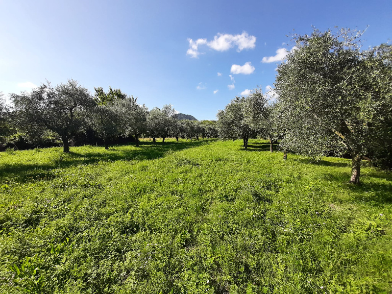 Fotografia dell'immobile
