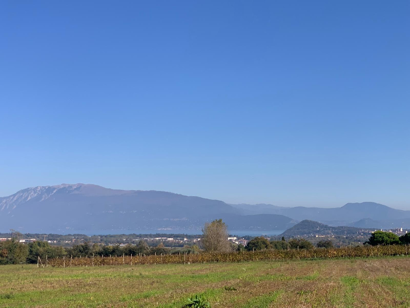 Fotografia Villa a schiera piccola 1